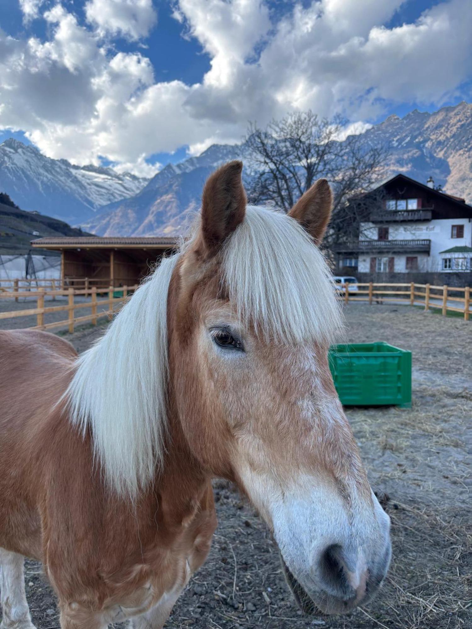 Schoene Wohnung Am Stadtrand Von Meran Valentinhof ภายนอก รูปภาพ